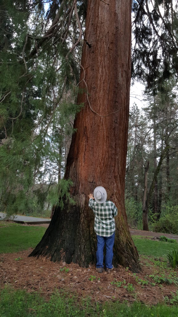 Man at bottom of trunk 