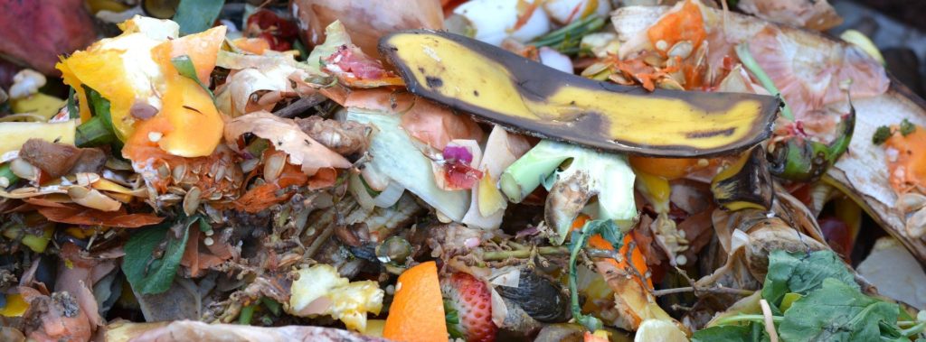 Food scraps looking like garbage