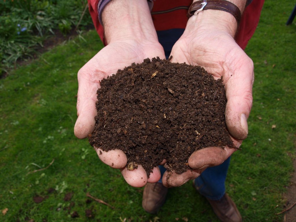 Two hands outstretched to show compost in them