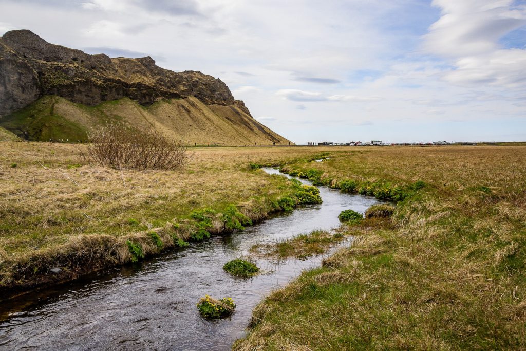 Natural meadow with Stream