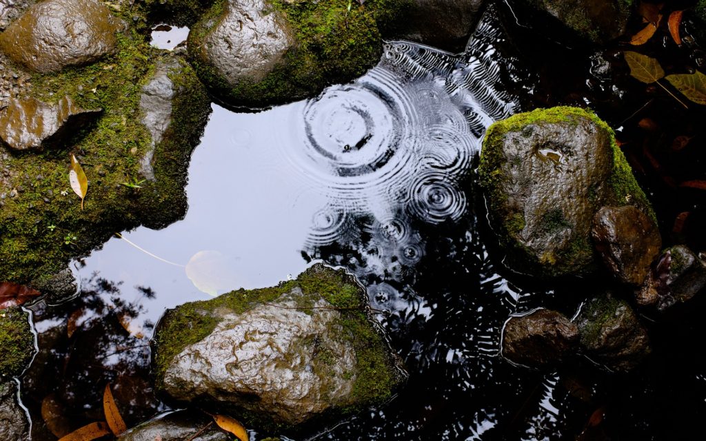 Rain in a little pool of water