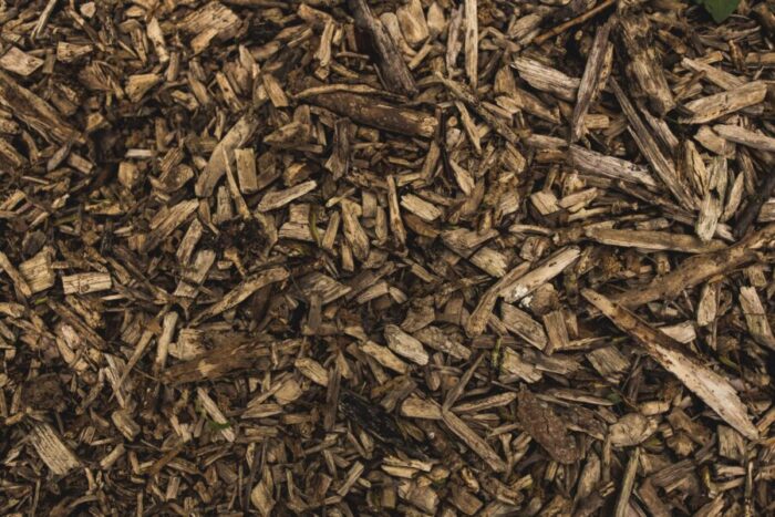 Damp woodchips on soil surface