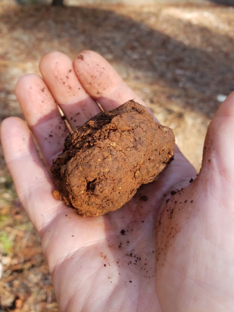 Ball of moist clay soil made from fist